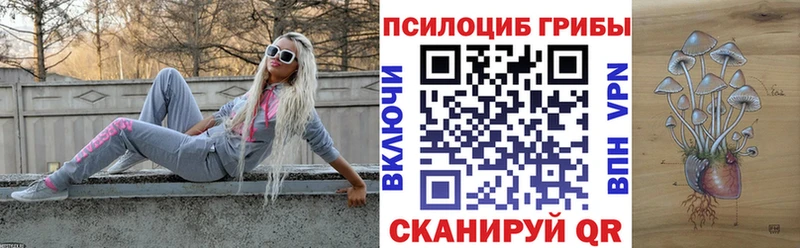 Купить где  Губкинский  Галлюциногенные грибы мухоморы 